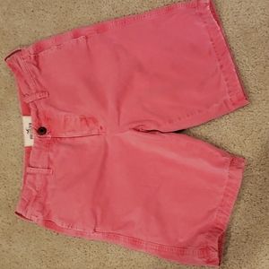Hollister Mens Shorts Size 30
